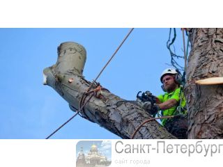 ���� ������ � ������������ �������� � �����-���������� � �� �����-���������