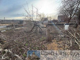 ������ ���� � �������� � ��������� ���, 2 �����, ������� 5 ����� ��������