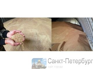 ������� �������� � ������ ����� �����-���������