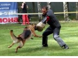      D&L Security