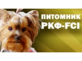     -fci