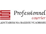 ������� ������ ���������� �������� "Professionnel"