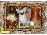 ������� Mary Mystic (���� ������)
