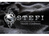  STEFI