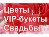 ������� VIP �����