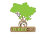  -2000, 