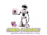 ������� ������ �������� ������ Cyber-flora.ru