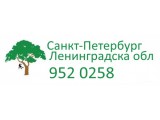Логотип АрбоСПб