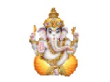  Aasha