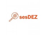  Sesdez.com