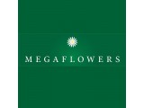  "Megaflowers"  
