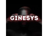  Ginesys