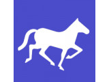  Nomadic Soft - -       