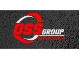  DSS Group 