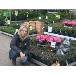 Коновалова Елена Борисовна водитель с личным автомобилем